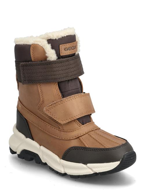 J Flexyper Plus Boy GEOX Brown
