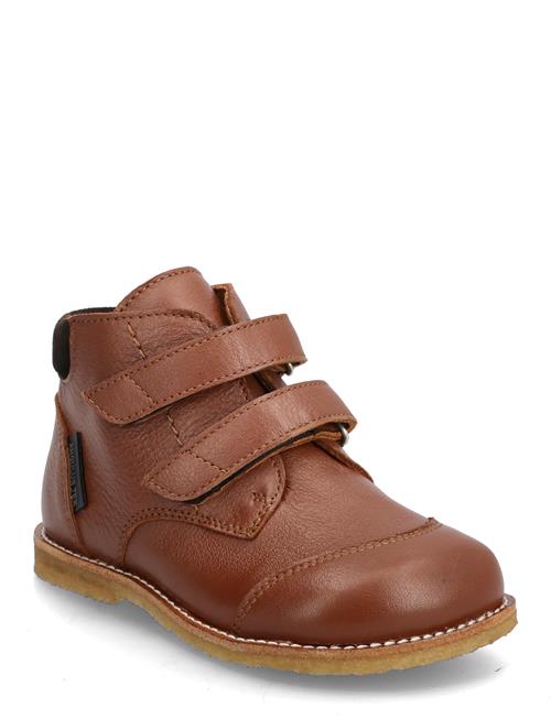 Shoes - Flat - With Velcro ANGULUS Brown