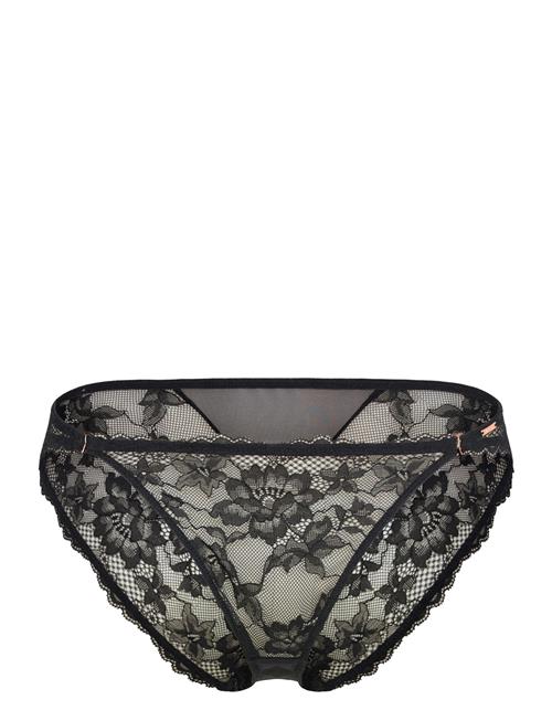 Emory Brief Dorina Black