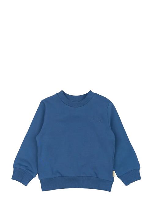 Ppdun Sweat Shirt Petit Piao Blue