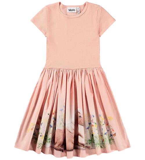 Molo Kjole - Cissa - Photobooth