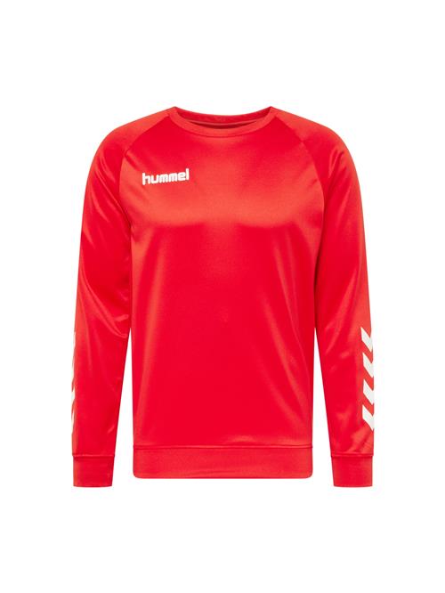 Hummel Sportsweatshirt  rød / hvid