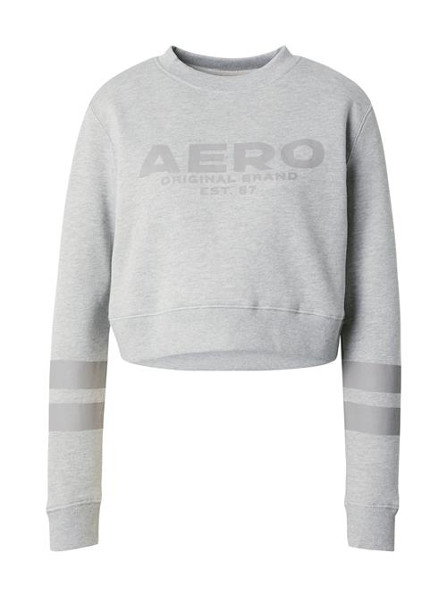 AÉROPOSTALE Sweatshirt  røggrå / grå-meleret
