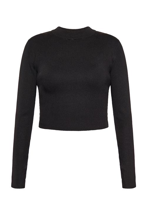 NAEMI Pullover  sort