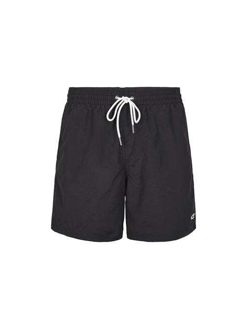 O'NEILL Badeshorts 'Vert'  sort