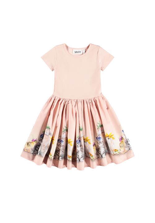 Molo GOTS Cissa Kjole Photobooth  Photobooth 134/140 cm  Lyserød  134/140 cm  kvinde