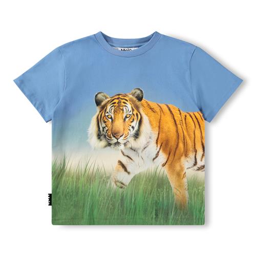 Molo GOTS Rubin T-shirt Tiger On Blue  Tiger on Blue 110 cm  Blå  110 cm  mand