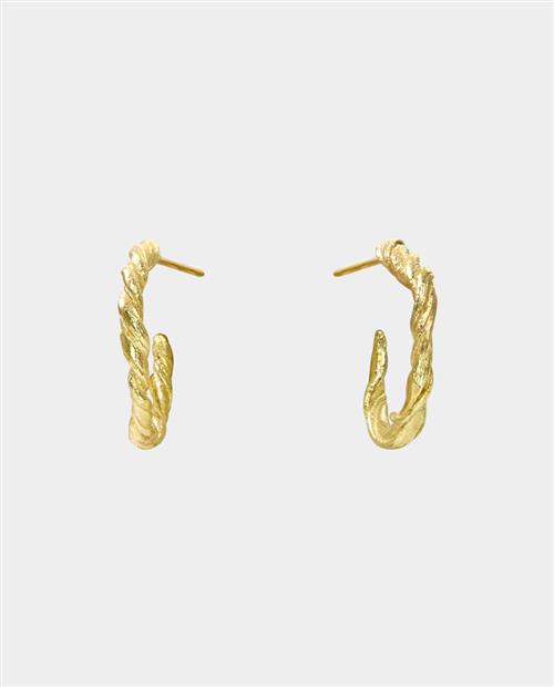 Vitis - som snoede vinranker