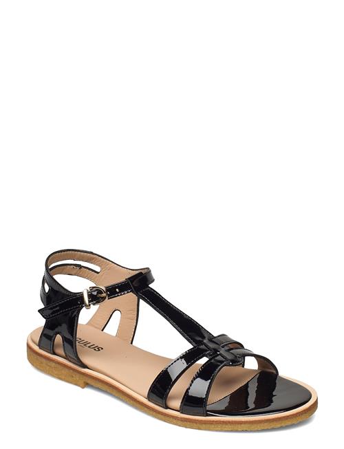 ANGULUS | Sandals - Flat | 40.5