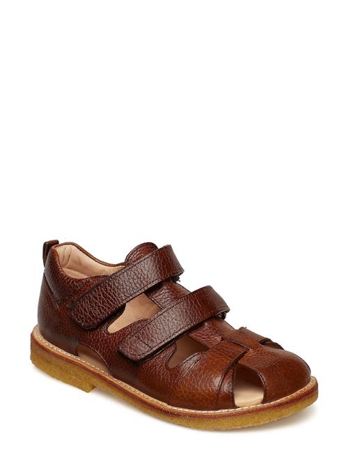 ANGULUS | Sandals - Flat - Closed Toe - | 26