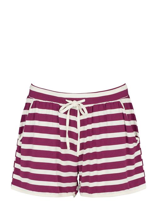Missya | Softness Shorts | XS