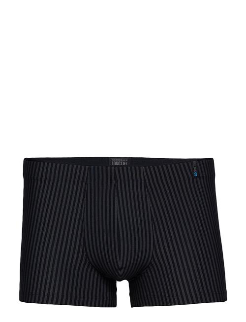 Schiesser | Low Rise Shorts | XL