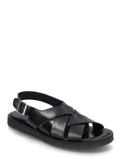 ANGULUS | Sandals - Flat  - Open Toe - Op | 40.5