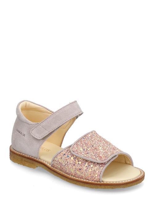 ANGULUS | Sandals - Flat  - Open Toe - Clo | 26