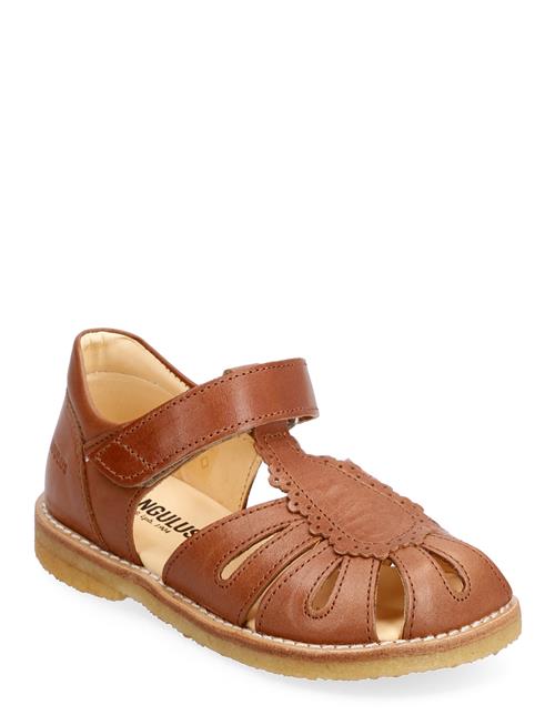 ANGULUS | Sandals - Flat - Closed Toe - | 25