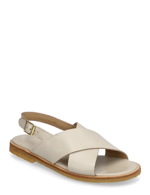 ANGULUS | Sandals - Flat  - Open Toe - Op | 41