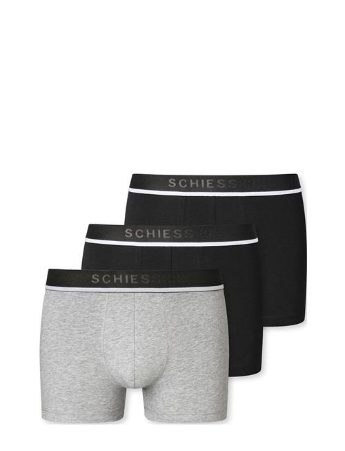 Schiesser | Shorts | M