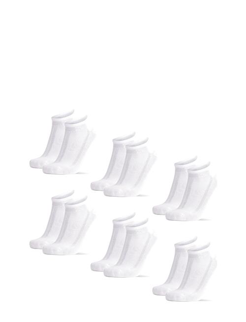 Danish Endurance | Bamboo Low-Cut Socks 6-Pack | 43-47