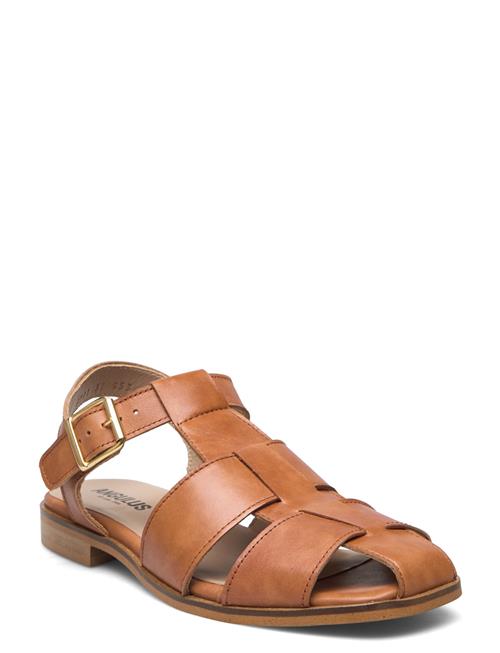 ANGULUS | Sandals - Flat | 40.5/26.7CM