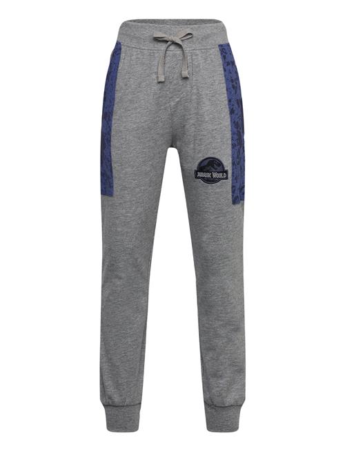 Sun City Jurassic Park | Pants | 98