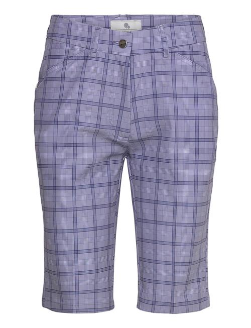 Lexton Links | Sandy Golf Shorts | 40 x 13