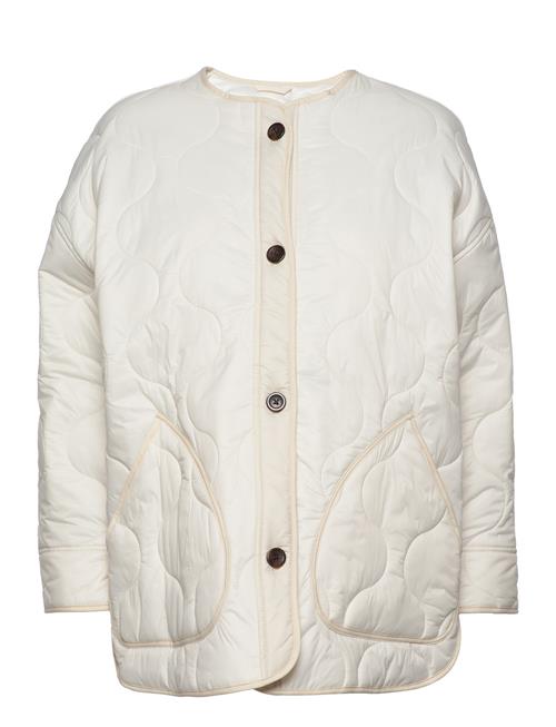 Abercrombie & Fitch | Anf Womens Outerwear | S