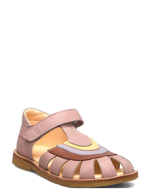ANGULUS | Sandals - Flat - Closed Toe - | 31