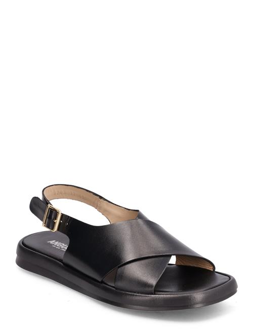 ANGULUS | Sandals - Flat | 36