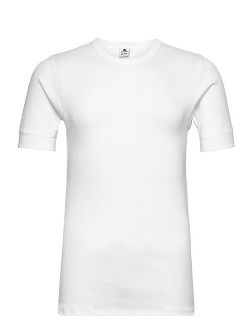 Dovre | Dovre T-Shirts 1/4 Ærme Organi | XXL