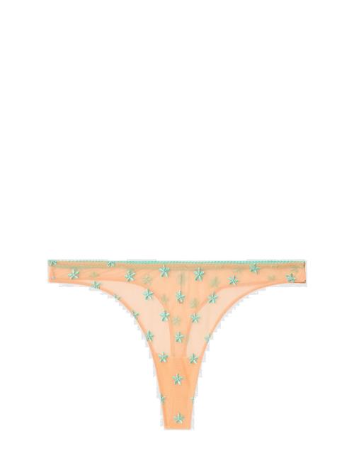 Understatement Underwear | Lace Thong | XXL