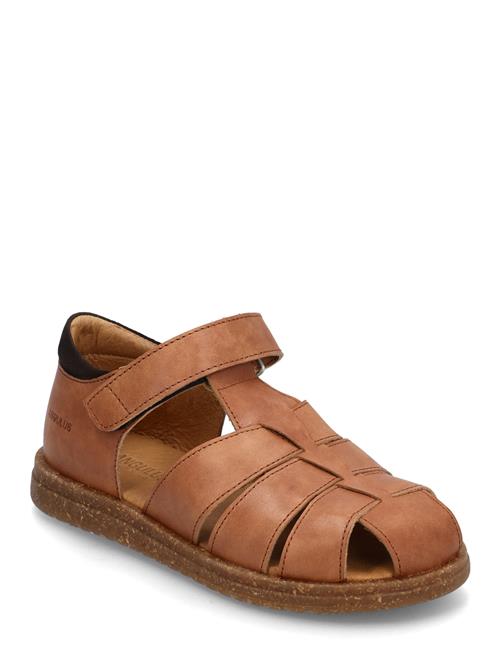 ANGULUS | Sandals - Flat  - Closed Toe | 26