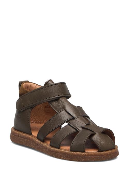 ANGULUS | Sandals - Flat  - Closed Toe | 25