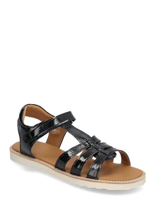 ANGULUS | Sandals - Flat  - Open Toe - Op | 39
