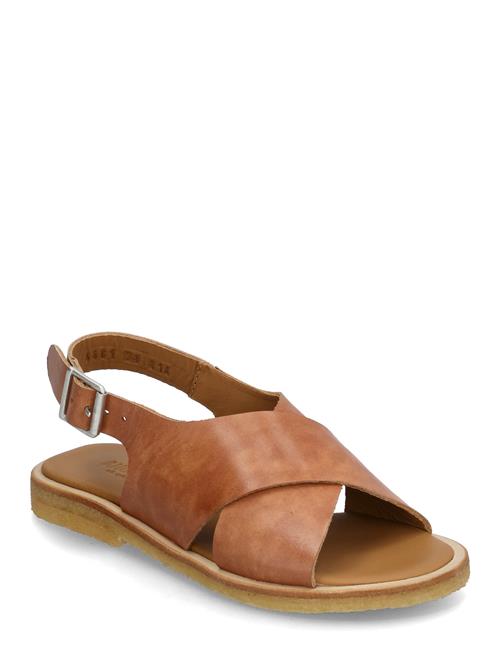 ANGULUS | Sandals - Flat  - Open Toe - Op | 34