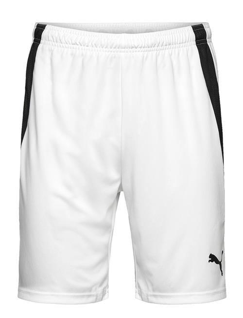 PUMA | Teamliga Shorts | XXL