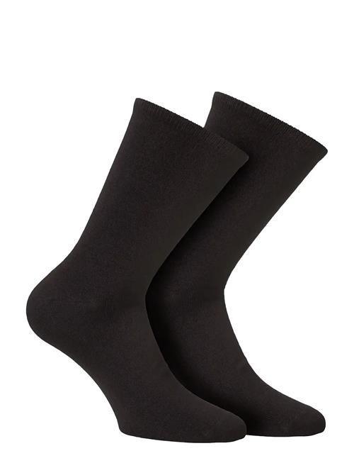 Alpacasocks&Co | Merino Lifestyle 2-Pack | 36-39