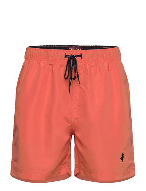 MCS | Mcs Swimshorts Garland Men | L