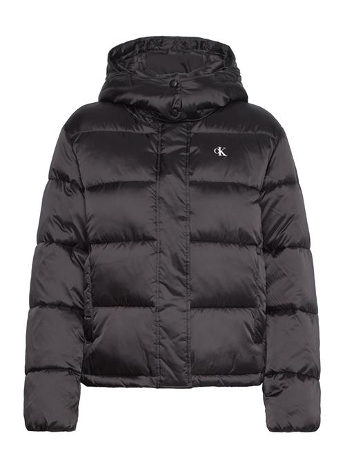 Calvin Klein Jeans | Shiny Monologo Nd Short Puffer | L