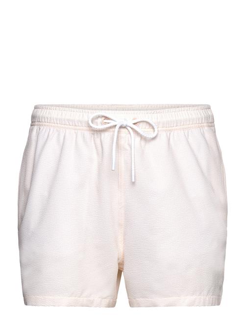 Björn Borg | Borg Seersucker Swim Shorts | S