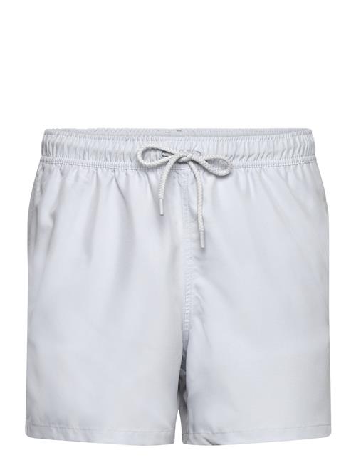 Björn Borg | Borg Solid Swim Shorts | L