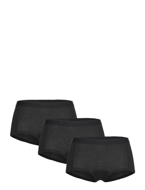 Björn Borg | Everyday Cotton Boxer Shorts 3P | M