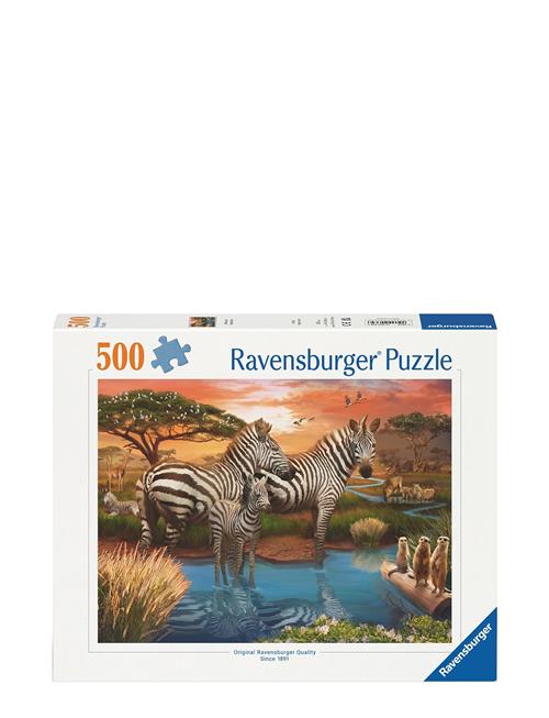 Ravensburger | Zebras In Sunset 500P | ONE SIZE