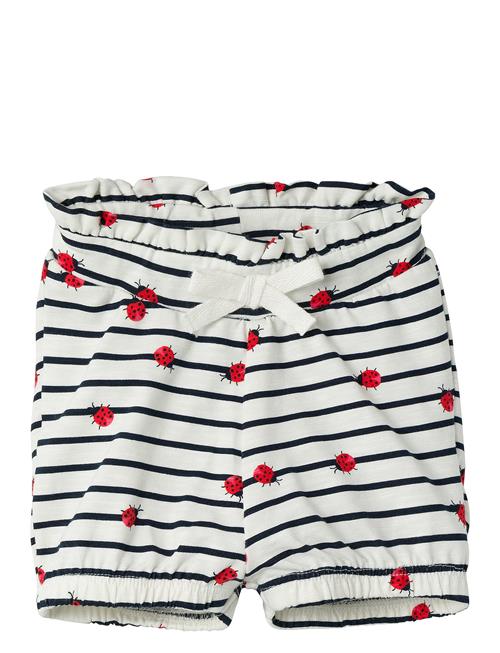 name it | Nbffelias Shorts Box | 56