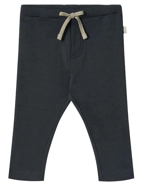 Wheat | Jersey Pants Manfred | 56