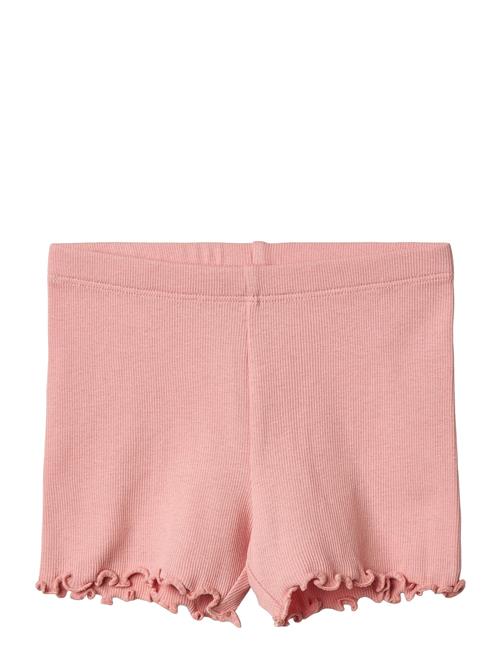 Wheat | Rib Shorts Sine | 104