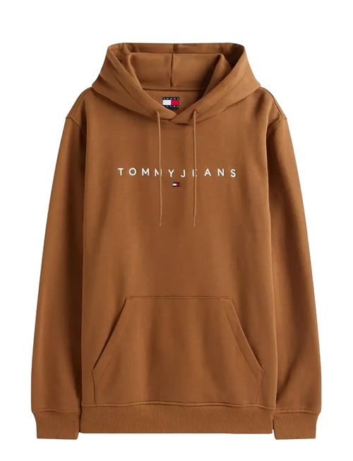 Tommy Jeans | Tjm Reg Linear Logo Hoodie Ext | M