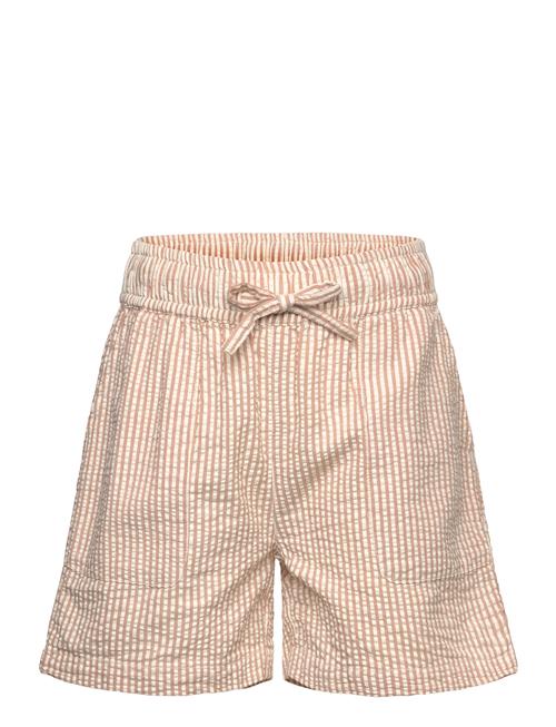 The New | Tnollie Shorts | 170/176