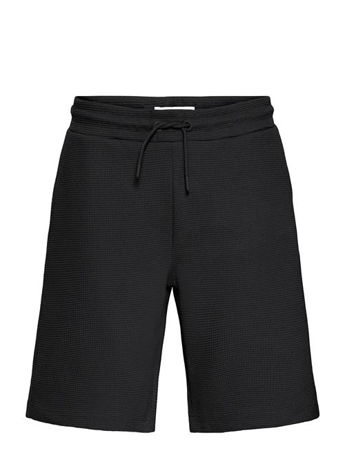 Blend | Bhcasper Shorts | S