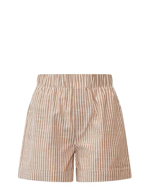 Noella | Letty Shorts | S/M