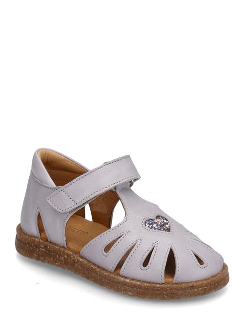 ANGULUS | Sandals - Flat  - Closed Toe | 25